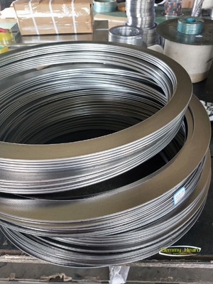 Υψηλής θερμοκρασίας O-ring SS304 SS316 Graphite Packing Spiral Wound Seal Flange Gaskets